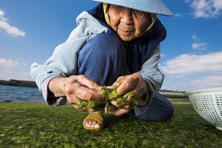 OKINAWAN WOMAN