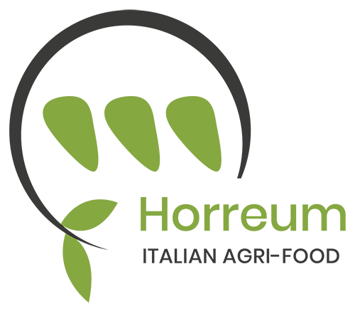 Horreum_09072020-DM_8-02